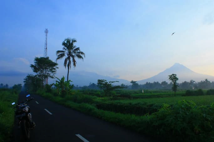 Jalan aspal di tengah sawah Dusun Kutan dengan latar belakang Gunung Merapi di pagi hari.